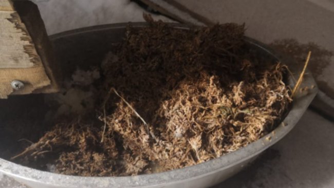 У жителя Бузулукского района найдена марихуана