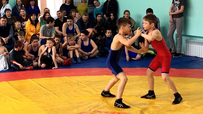 В Бузулукском районе  прошли соревнования по греко-римской борьбе