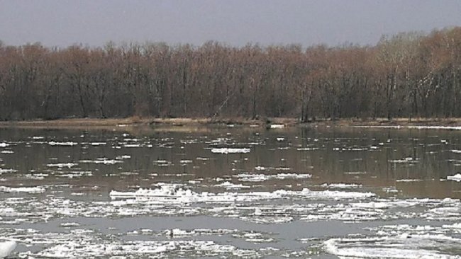 В Оренбуржье из реки Бузулук достали тело мужчины