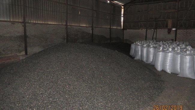 В Бузулукском районе продавали некачественные семена подсолнечника