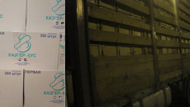 В Бузулукский район не пустили более пяти тонн вяленой рыбы