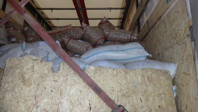 В Бузулукский район не пустили более 60 тонн подозрительного репчатого лука 