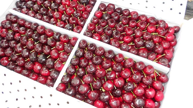 В Бузулукский район не пустили 427 тонн подозрительных овощей и фруктов