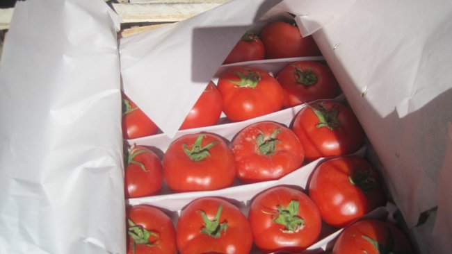 В Бузулукский район не пустили 429 тонн подозрительных овощей, фруктов и ягод