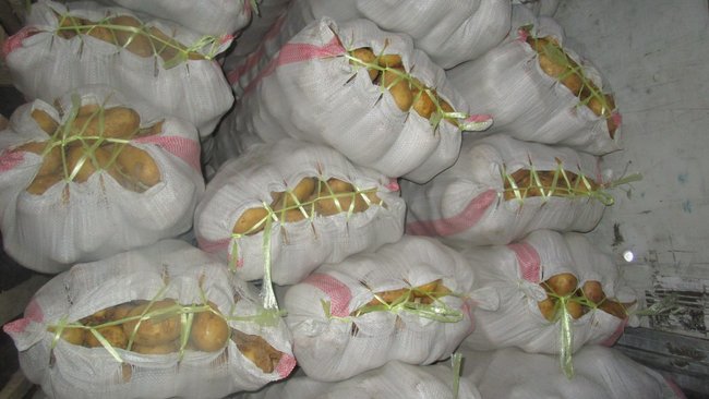 До Бузулука не доехали казахстанские овощи и фрукты