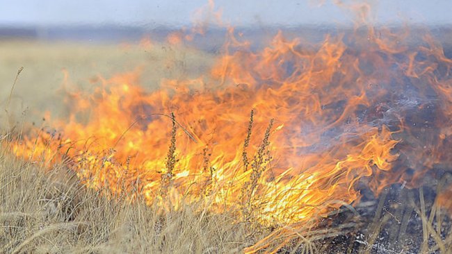 В Бузулукском районе за сутки произошло два степных пожара