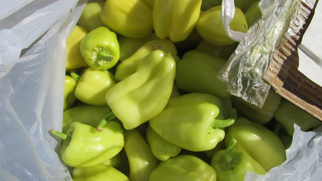 Под Бузулуком уничтожено 6 тонн овощей из Казахстана