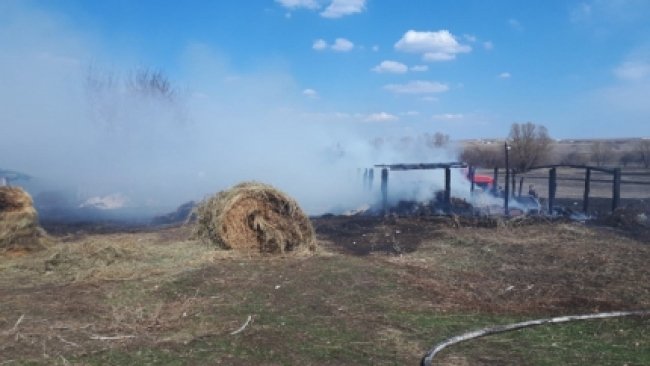 Бугурусланец, по чьей вине сгорели 13 голов КРС, сено и сараи соседей, предстанет перед судом