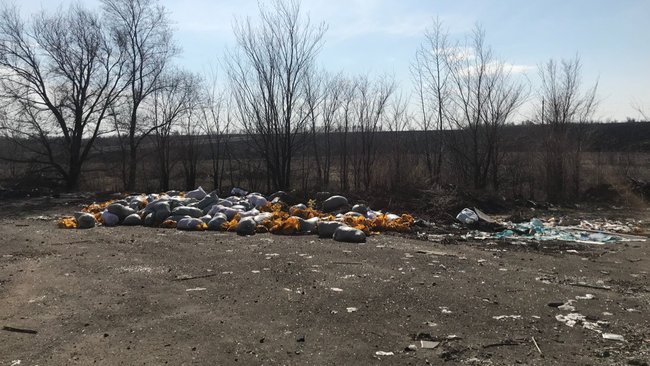 В Бугуруслане администрация ликвидировала свалки только после вмешательства прокуратуры