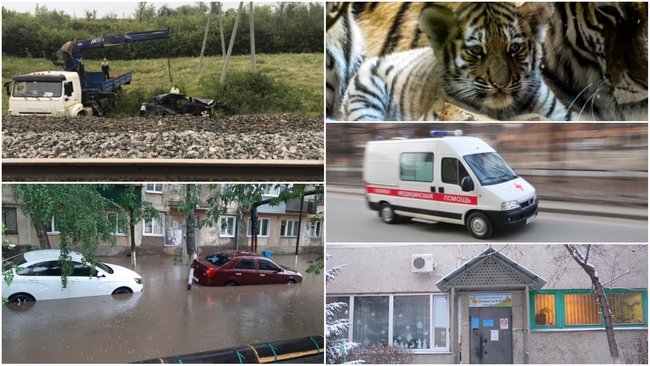 Чем Бузулуку запомнилась минувшая неделя