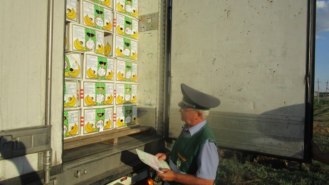 В Бузулукский район с начала года не пустили свыше 4600 тонн небезопасной продукции