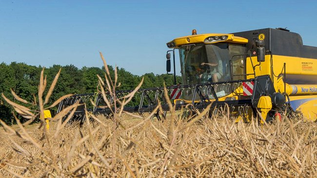 Бузулукский район лидирует по урожайности