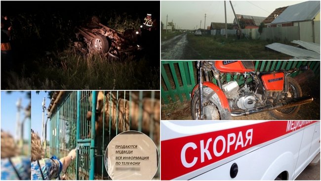 Чем Бузулуку запомнилась минувшая неделя