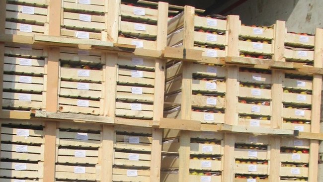 До Бузулука не доехали фрукты, зараженные восточной плодожоркой