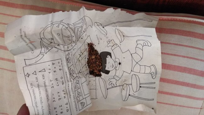 В Бузулуке задержан еще один сборщик запрещенной растительности