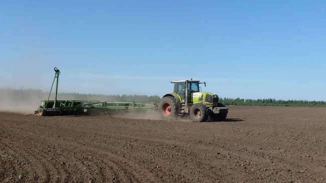 В Бузулукском районе озимыми уже засеяно более 90% от запланированного