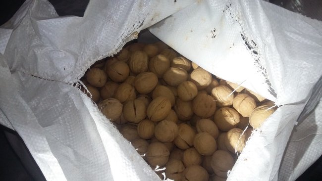 В Первомайском районе в страну пытались ввезти небезопасную продукцию