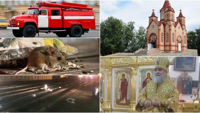 Чем Бузулуку запомнилась минувшая неделя