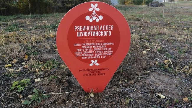 В Бузулуке на аллее Шуфутинского вырвали почти все рябины