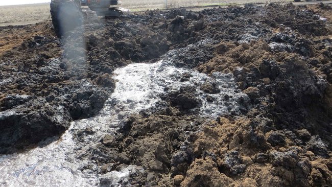 В Бузулукском районе произошло загрязнение сельхозучастка нефтью