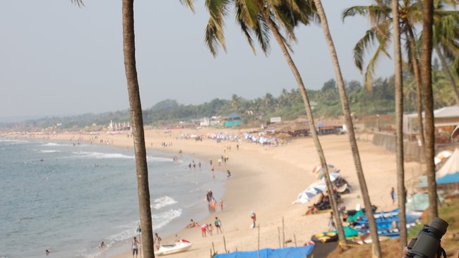 Как бузулукские турагентства выживают в условиях пандемии?