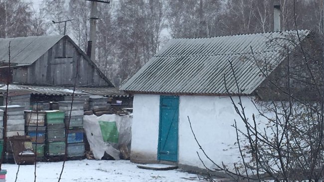 Какой будет зима в Оренбуржье и когда 