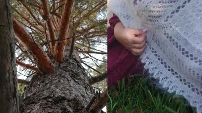 Бузулукский бор стал конкурентом пухового платка