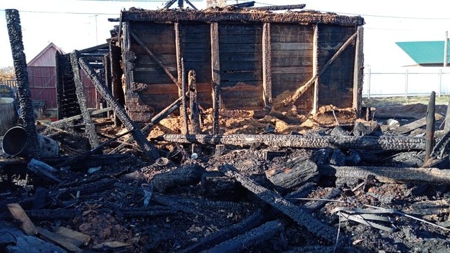 В Бузулукском районе отец не рассказал пожарным, что в горящем доме остался его сын (18+)