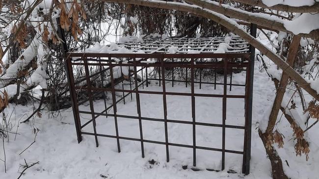 В Бузулукском бору охотники собирались резать кабанов в ловушке