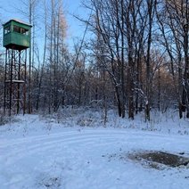 Андрей Латыпов: Стволы охотничьих ружей направлены на Бузулукский бор