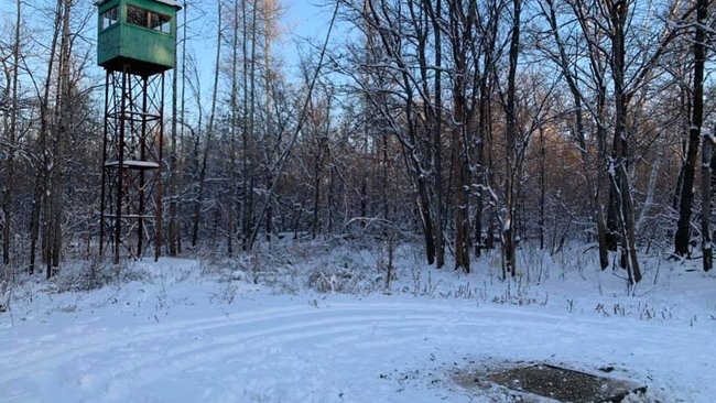 Андрей Латыпов: Стволы охотничьих ружей направлены на Бузулукский бор