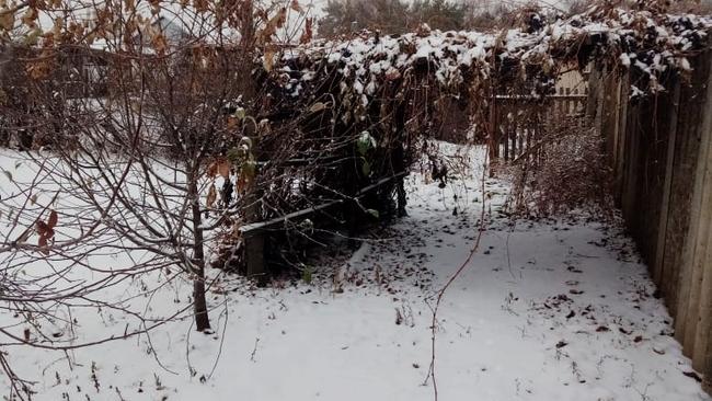 Бузулукские дачники в ближайшие пять дней могут задать вопросы депутатам 