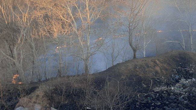Волна пожаров накрыла Бузулук и Бузулукский район 
