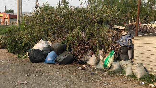 Рядом с университетом в Бузулуке образовалась свалка 