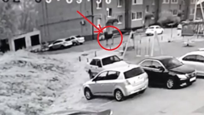 По улицам Бузулука разгуливал лось