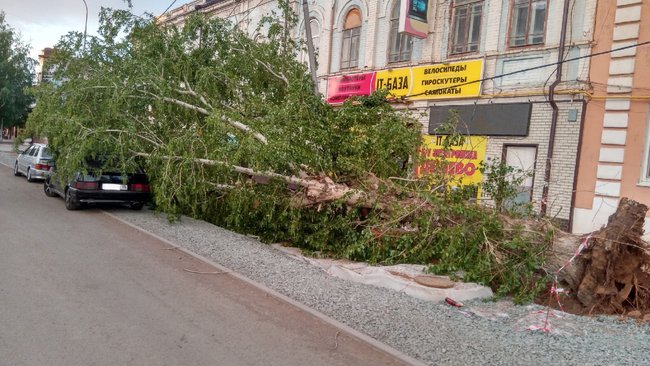 Из-за сильного ветра в Бузулуке дерево упало на припаркованную машину