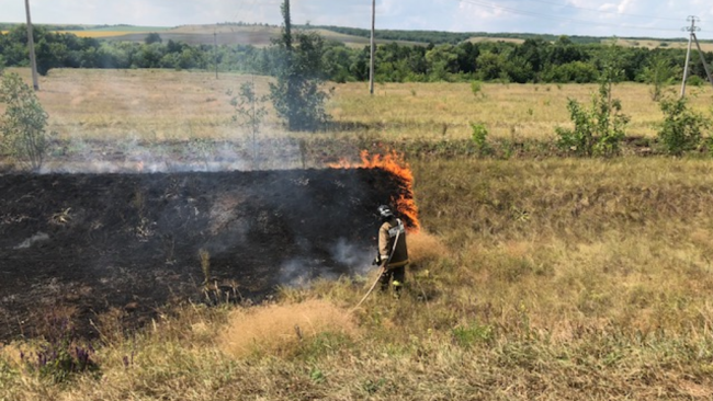 В Бузулукском районе степной пожар едва не дошел до села 