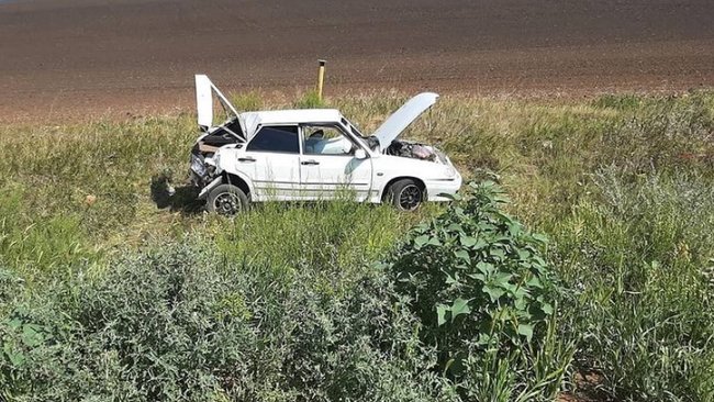 Пьяному пенсионеру оторвало часть уха в ДТП под Грачевкой (18+)