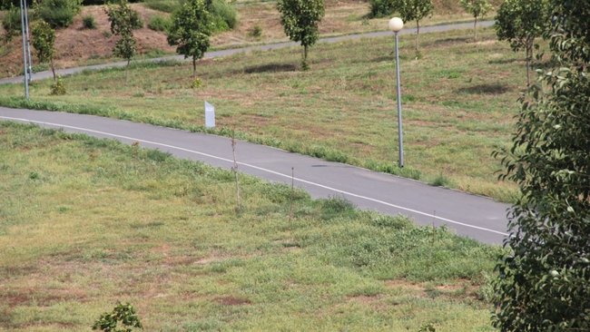 Бузулучанам объяснили, для чего разметка в парке Пушкина