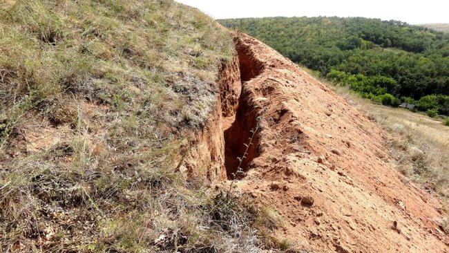 В Бузулукском районе у памятника природы выкопали траншею