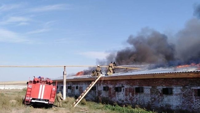 Оренбургские спасатели рассказали о пожарах 2021 года