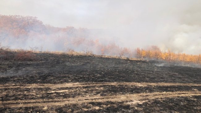 В Бузулукском районе потушили крупный пожар