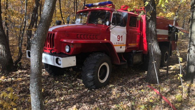 Еще 15 гектаров степи выгорело вчера в Бузулукском районе