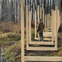 Посетителям Бузулукского бора покажут топи