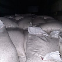 Предотвращен ввоз подкарантинной продукции из Казахстана и Киргизии 