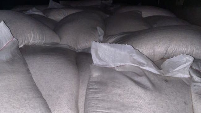 Предотвращен ввоз подкарантинной продукции из Казахстана и Киргизии 