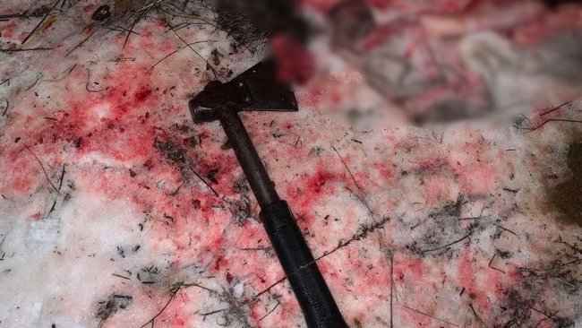 В Бузулукском бору жестоко расправились с лосем