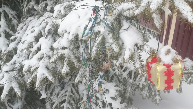 В Бузулуке вандалы оборвали гирлянду