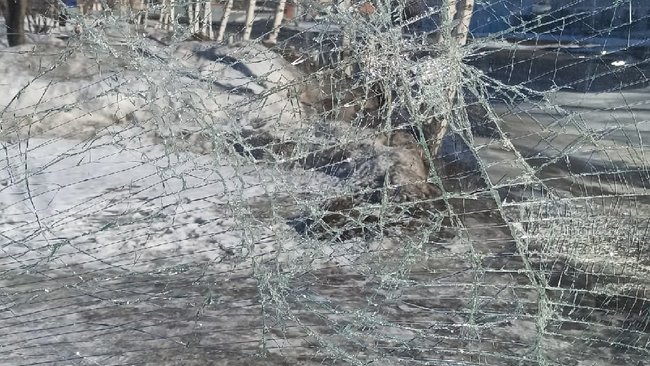 В Бузулуке на остановке 