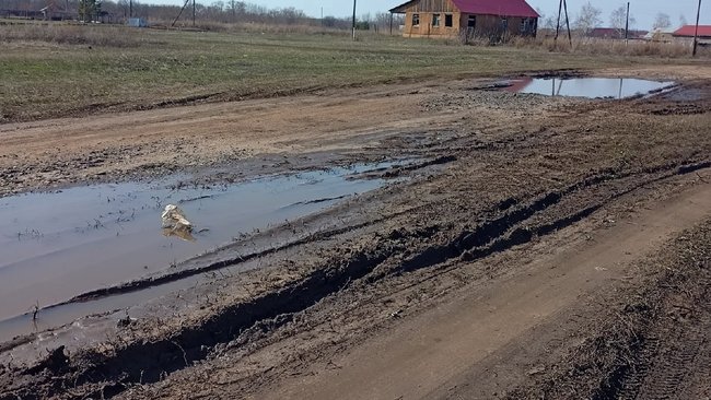 Жители Бузулукского района устроили флешмоб для чиновников